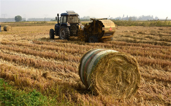 黑龍江生物質(zhì)熱電聯(lián)產(chǎn)和清潔能源供暖落地黑龍江省 助推小秸稈變身大能源