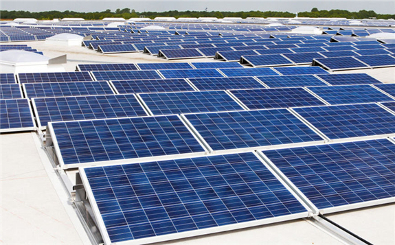 光敏蛋白+量子点造出新型太阳能电池