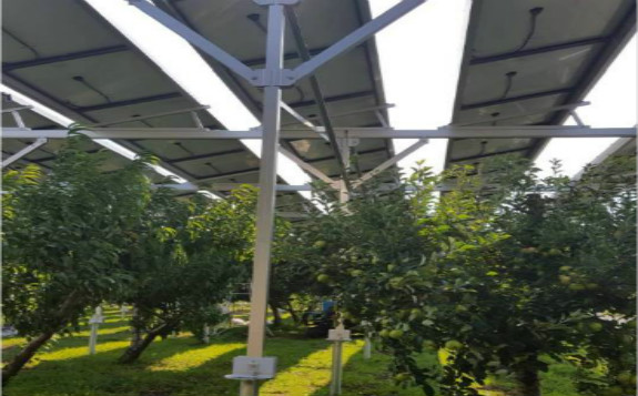 格瑞士光伏農棚實現“農光互補” 三重收益