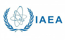 國際原子能機構總干事：進一步擴大核能利用，以減少碳排放