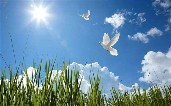 改善生態環境 打贏藍天保衛戰