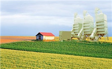 補(bǔ)貼的傳言“滿天飛” 生物能源產(chǎn)業(yè)陷入尷尬境地