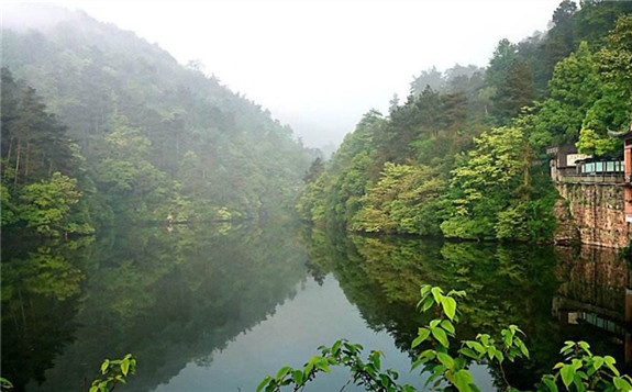 生態環境部在支持服務民營企業綠色發展方面采取的措施