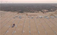 砍伐10万株杨树不实，华能陕西靖边电力推平牧草地初步调查结果公布