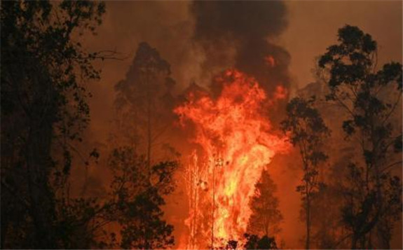 澳總統公開拒絕收縮煤炭行業的建議，否認山火肆虐和氣候變化之間存在聯系
