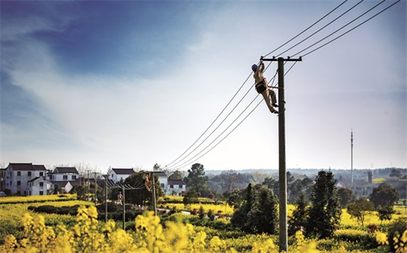 國網提前完成新一輪農網改造升級目標任務