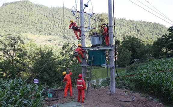 重慶市政協委員建議加強重慶農村電網升級改造工作