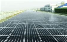 短期出口受影響 20國海外光伏生產基地或成疫情期發貨后盾