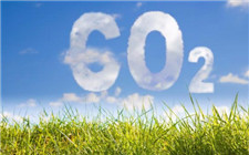 最新研究：氨可以安全有效地作為海洋燃料