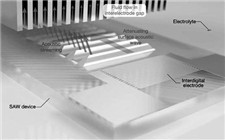 新型研究：利用超聲波實(shí)現(xiàn)快速充電并提高電池的循環(huán)壽命