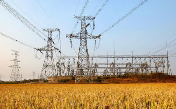 毛偉明：要求全面落實十個方面重點工作、31項重點任務