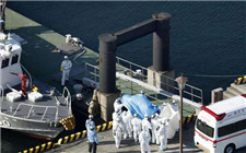 日韩疫情严峻 日韩电池产业链企业生产受到影响