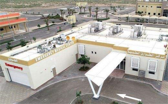 世界最大联合循环电站实现成功并网