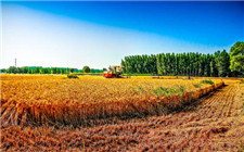 農村秸稈利用獲政策支持 生物質供熱亟待加速發展