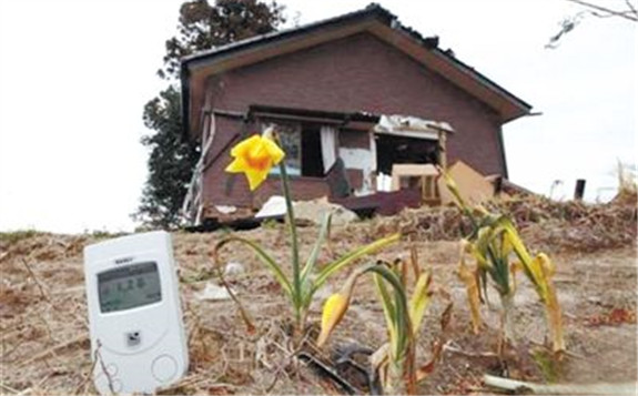 福島核事故去污土壤再利用 以證其安全性