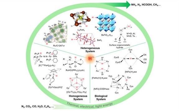 大連化學(xué)物理研究所發(fā)表氫化物的功能綜述文章