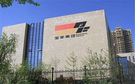 寶豐能源300萬噸/年煤焦化多聯產項目正式開工