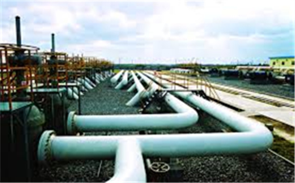 山東?。骸叭椫贫取北Ｕ嫌蜌夤艿腊踩\行