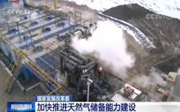 江苏能源监管办参加港华储气库市场化运营机制建设讨论会