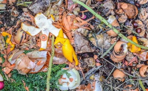用食物殘渣碎屑甚至人類的污水來制造生物煤炭