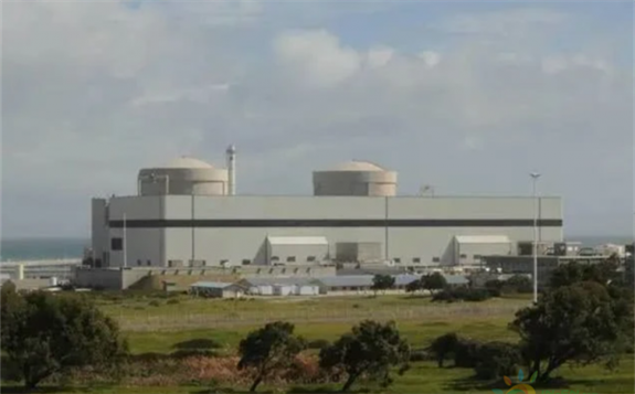 南非礦產(chǎn)資源和能源部發(fā)布了關于核能建設的信息邀請書