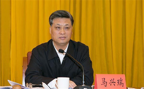 广东省长马兴瑞：加大清洁能源推广应用力度