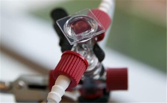 美國科學家研發太陽能液流電池：轉換效率達20%