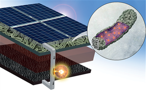 2020年上半年安徽太阳能电池产量增长38.4%