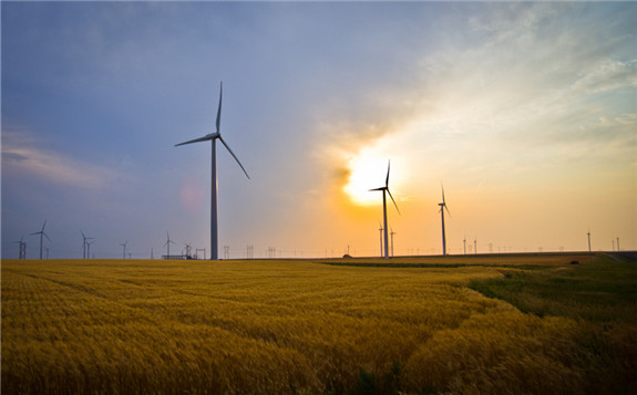百万千瓦级风电基地！国家能源局助力甘肃通渭发展风电产业