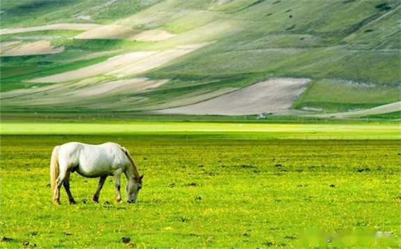 內(nèi)蒙古烏蘭察布將對(duì)草原上礦山風(fēng)電光伏等項(xiàng)目限期退出