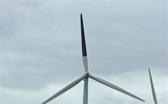 如何有效降低鳥類碰撞風力渦輪機？將扇葉涂黑