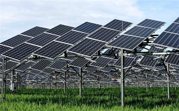 光伏+農業”的產業扶貧模式，為31萬戶貧困戶送上了穩定增收的“陽光存折”