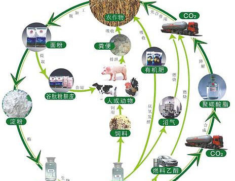 《完善生物質發電項目建設運行的實施方案》出臺背景、起草過程、總體思路的解讀