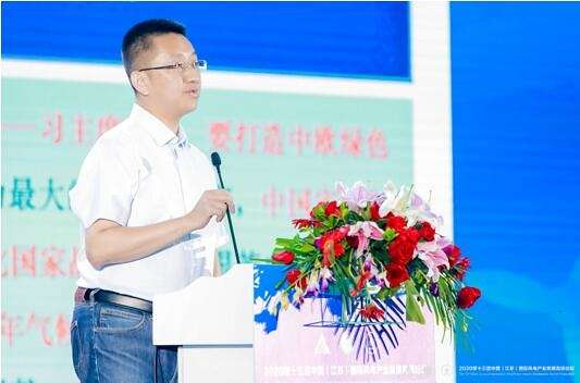 陶冶分享风电及可再生能源政策及投资方面观点