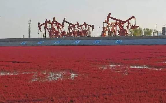 中石油重大科技專項中期評估檢查會在遼河油田舉行