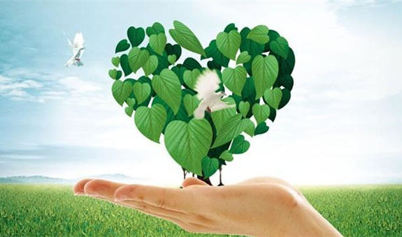 我國應對氣候變化和推動低碳發(fā)展取得顯著成效