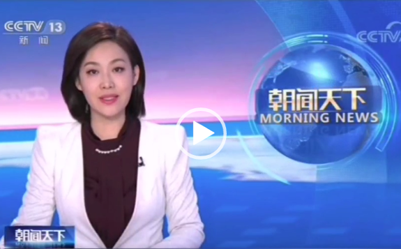 央视报道北京国际风能大会，将更大力度推动风电规模化发展