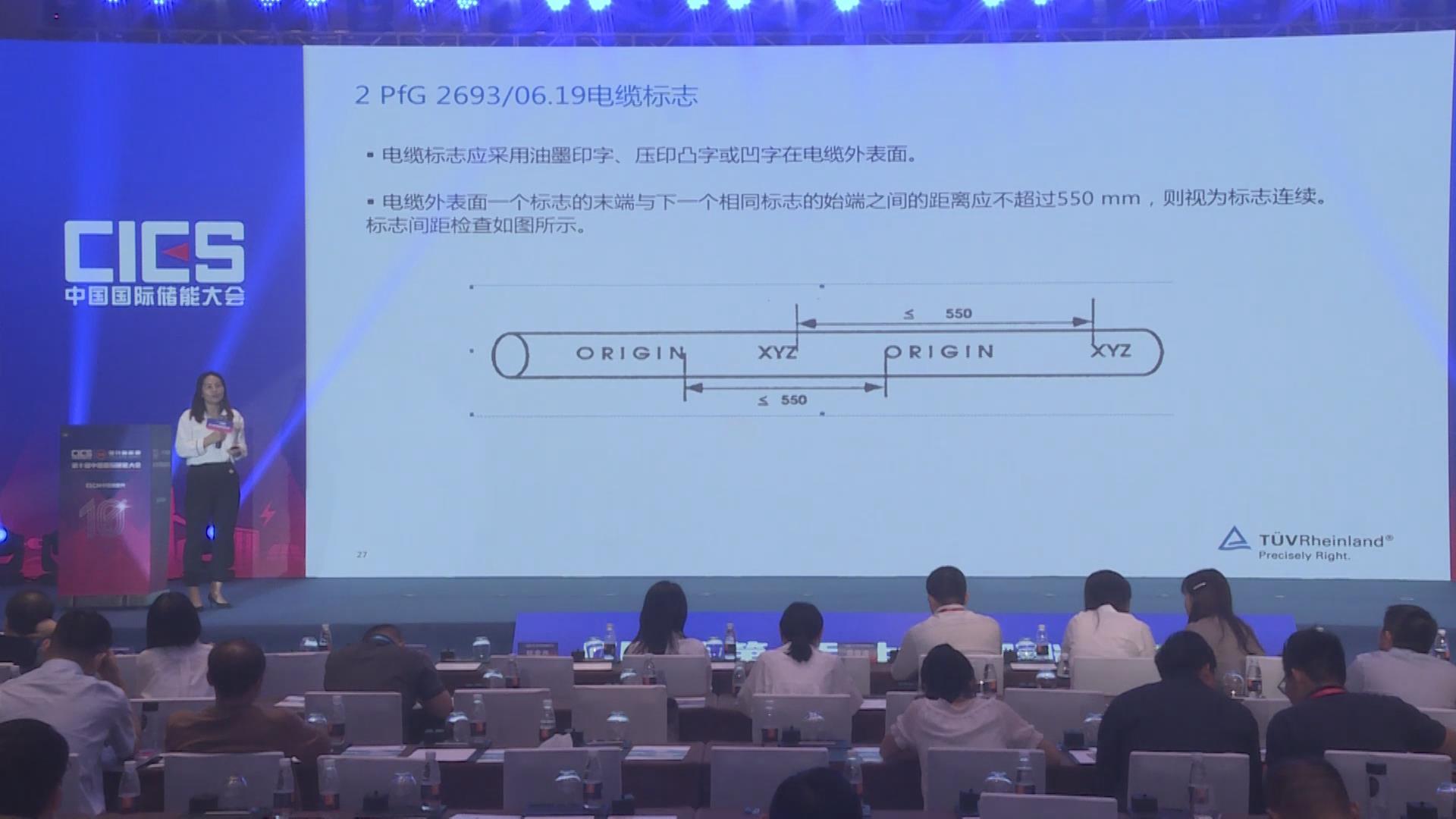 張麗穎：電池儲(chǔ)能系統(tǒng)用電纜2PfG 2693/06.19簡(jiǎn)介