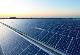 強強聯手！通威與天合投資150億成立合資公司