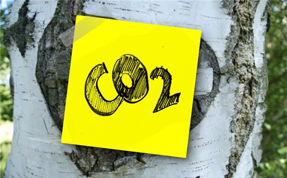 英國科學家團隊發布最新研究：新型鐵基催化劑將二氧化碳轉為噴氣燃料