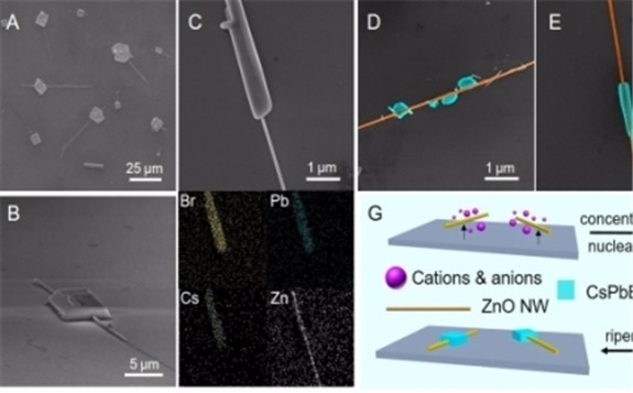 國家納米中心在鈣鈦礦-氧化鋅異質結的光電性能研究中獲進展