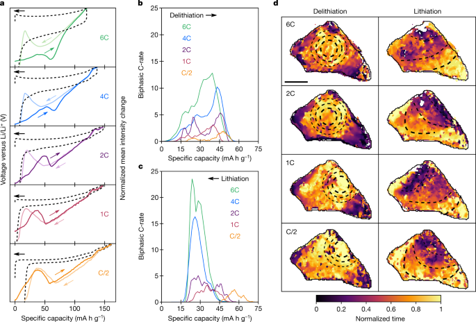 科學家發明可實時跟蹤鋰離子在充放電中的移動過程的簡易技術