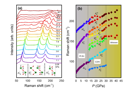 上海光机所等在Bi2Se3基超导体极端高压物性研究中取得进展