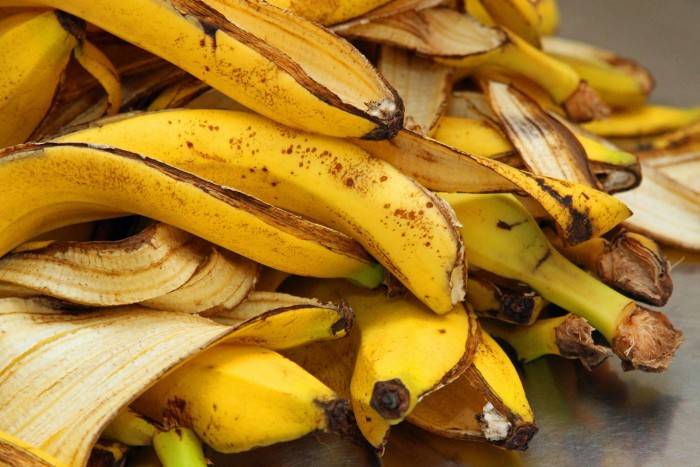 科学家研究从香蕉皮等生物质中提取氢气燃料