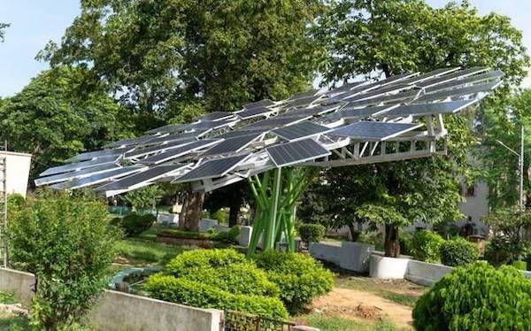 破紀錄！世界上最大的太陽能樹在印度