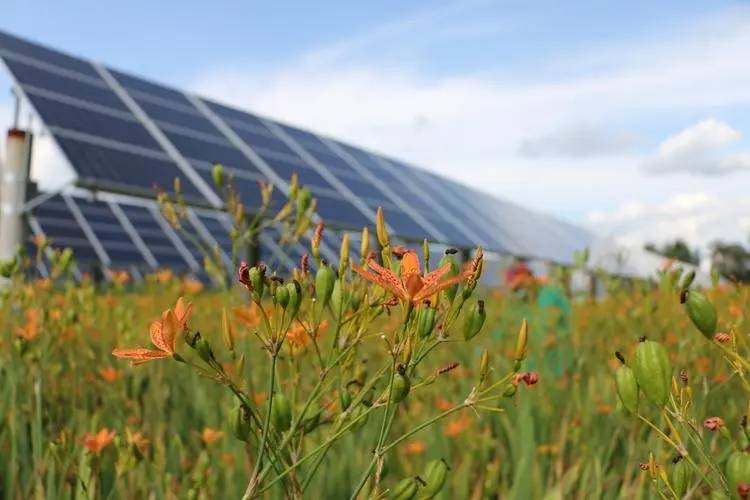 首義新能源石首市南口鎮100MW農光互補發電項目EPC總承包招標公告