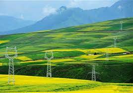 架起奔向富裕的“幸福線” 綠色電力點亮金色田野