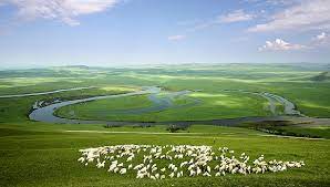 內蒙古重大項目實施更加注重生態環保