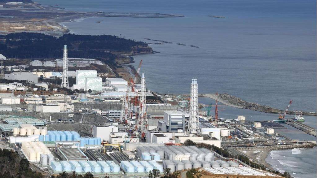 福岛海域多次捕获放射性元素超标鱼 研究称或从核电站港湾内游出