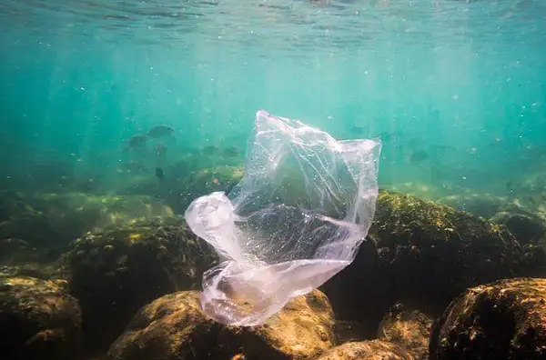 2060年全球塑料垃圾将是目前三倍